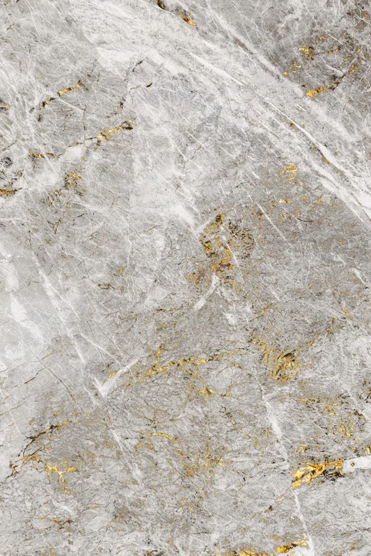 Grey Marble with Gold Veins
